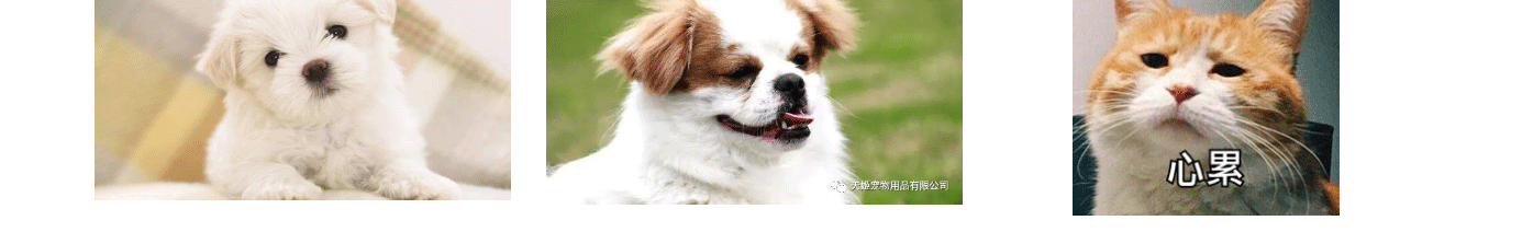 深圳網站設計公司_高端定制設計網站_營銷型網站設計制作_深圳網站建設
