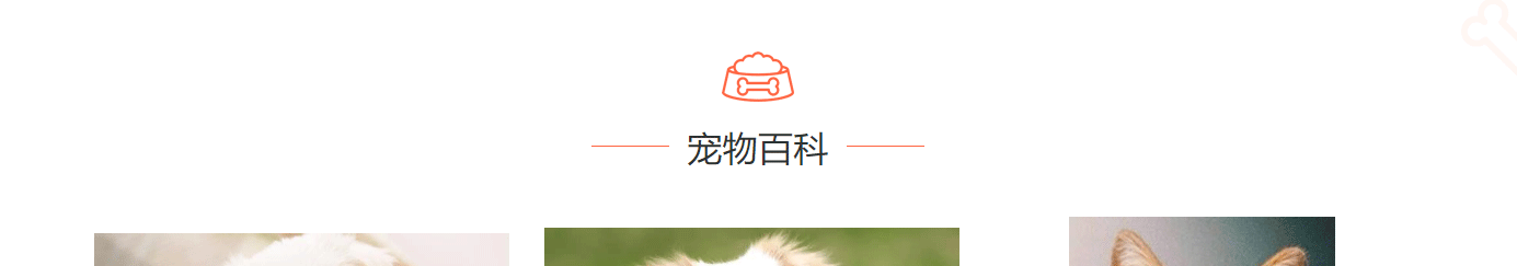 深圳網站設計公司_高端定制設計網站_營銷型網站設計制作_深圳網站建設