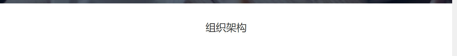 深圳網站設計公司_高端定制設計網站_營銷型網站設計制作_深圳網站建設