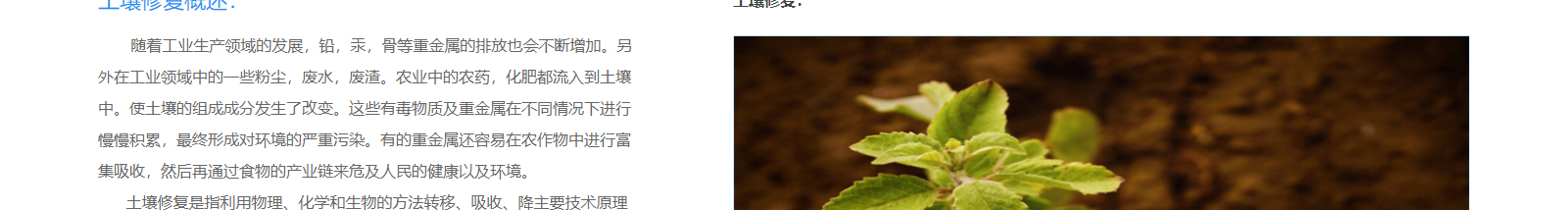 深圳網站設計公司_高端定制設計網站_營銷型網站設計制作_深圳網站建設