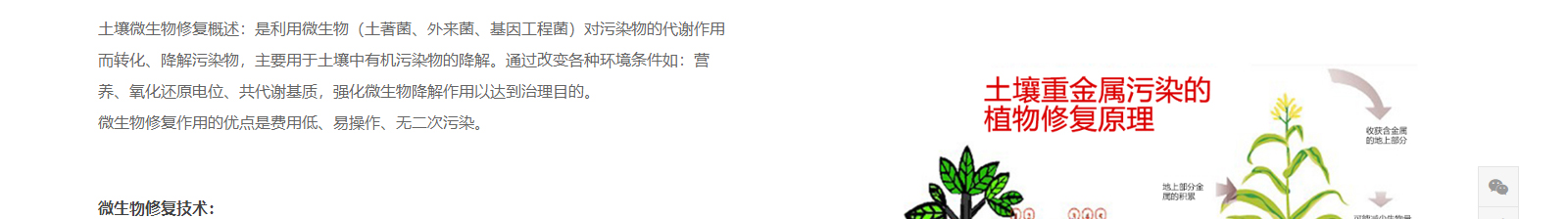 深圳網站設計公司_高端定制設計網站_營銷型網站設計制作_深圳網站建設