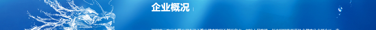 深圳網站設計公司_高端定制設計網站_營銷型網站設計制作_深圳網站建設