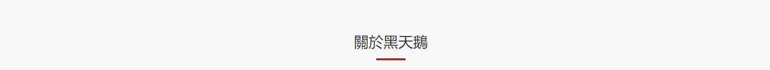 深圳網站設計公司_高端定制設計網站_營銷型網站設計制作_深圳網站建設 深圳網站設計公司_高端定制設計網站_營銷型網站設計制作_深圳網站建設