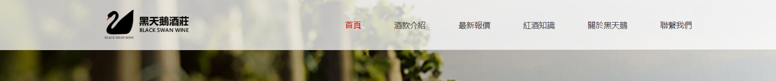 深圳網站設計公司_高端定制設計網站_營銷型網站設計制作_深圳網站建設 深圳網站設計公司_高端定制設計網站_營銷型網站設計制作_深圳網站建設