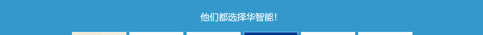 網站建設設計案例_營銷型網站制作案例