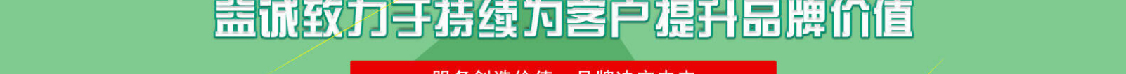 網站建設設計案例_營銷型網站制作案例