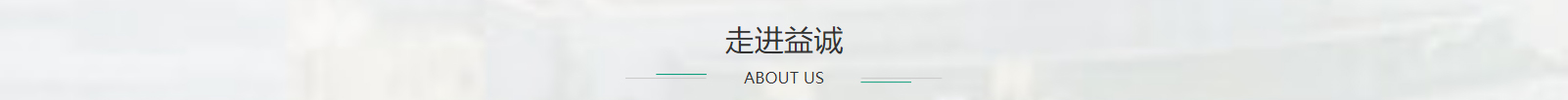 網站建設設計案例_營銷型網站制作案例