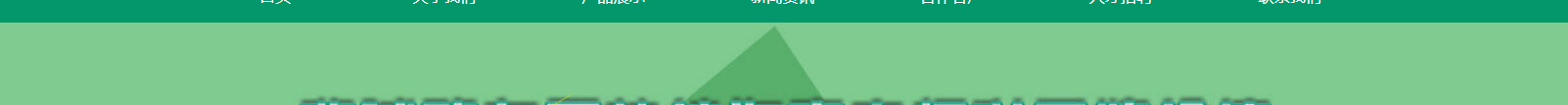 網站建設設計案例_營銷型網站制作案例