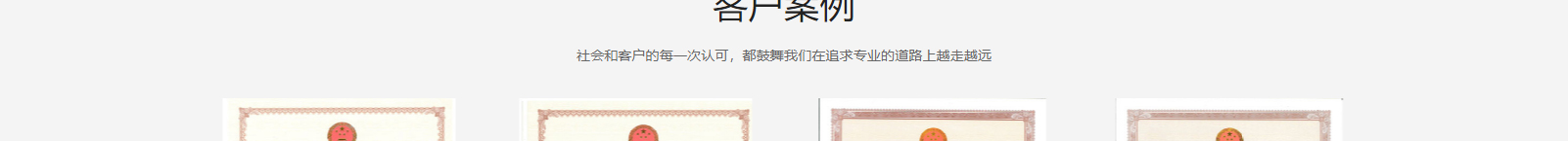 網站建設設計案例_營銷型網站制作案例 網站建設設計案例_營銷型網站制作案例
