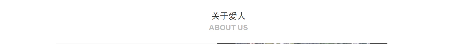 網站建設設計案例_營銷型網站制作案例 網站建設設計案例_營銷型網站制作案例