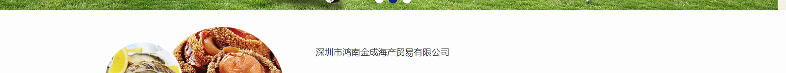 網站建設設計案例_營銷型網站制作案例 網站建設設計案例_營銷型網站制作案例