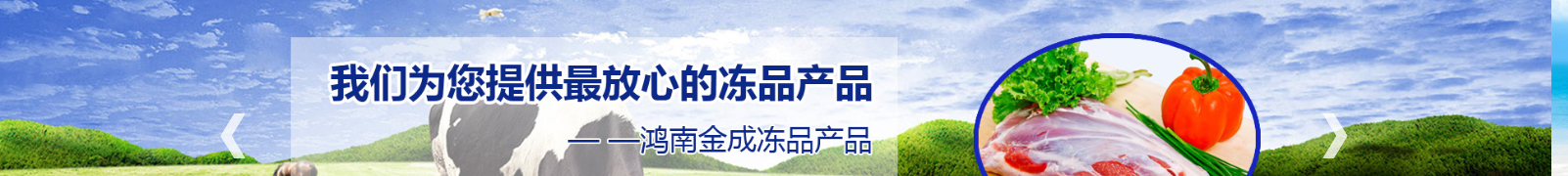 網站建設設計案例_營銷型網站制作案例 網站建設設計案例_營銷型網站制作案例