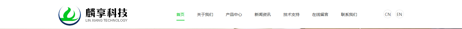 網站建設設計案例_營銷型網站制作案例