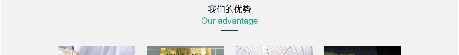 網站建設設計案例_營銷型網站制作案例