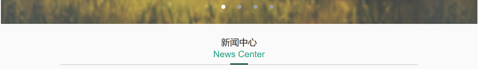 網站建設設計案例_營銷型網站制作案例