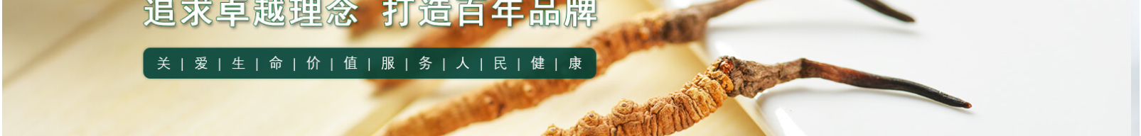 網站建設設計案例_營銷型網站制作案例