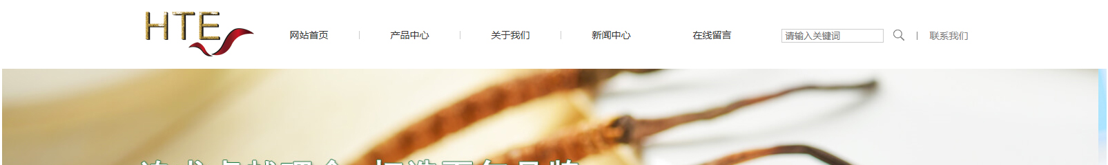 網站建設設計案例_營銷型網站制作案例