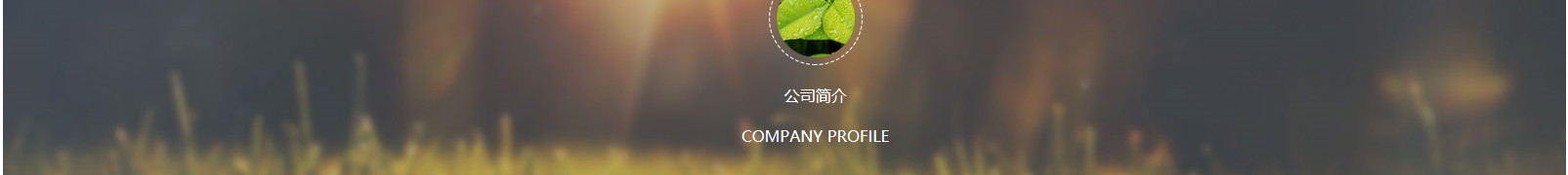 網站建設設計案例_營銷型網站制作案例