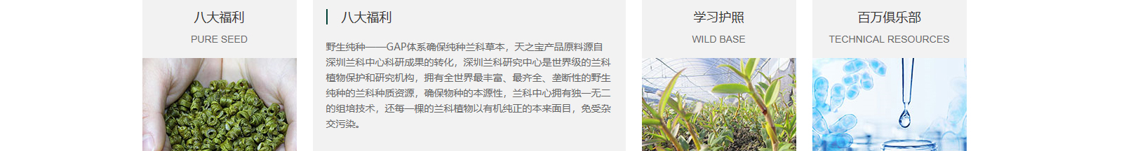 網站建設設計案例_營銷型網站制作案例
