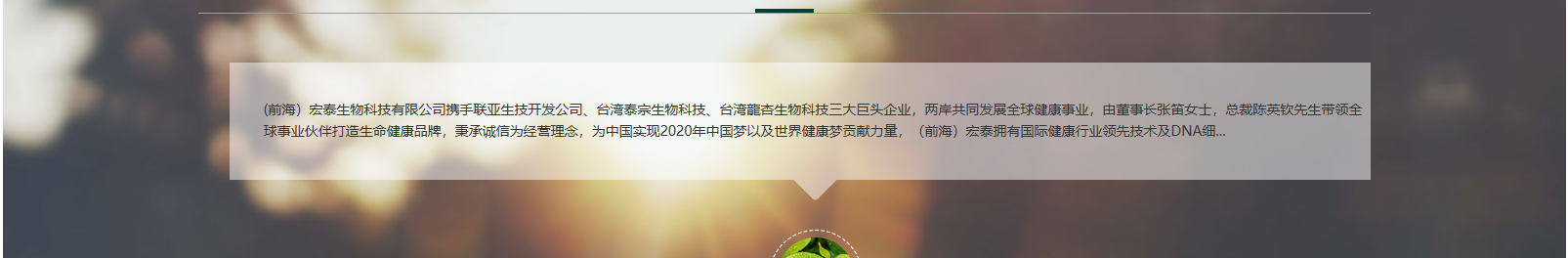 網站建設設計案例_營銷型網站制作案例