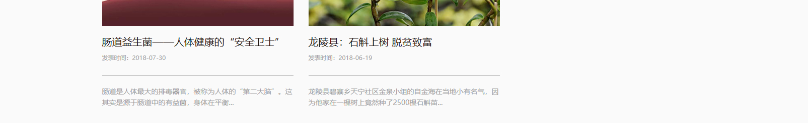 網站建設設計案例_營銷型網站制作案例