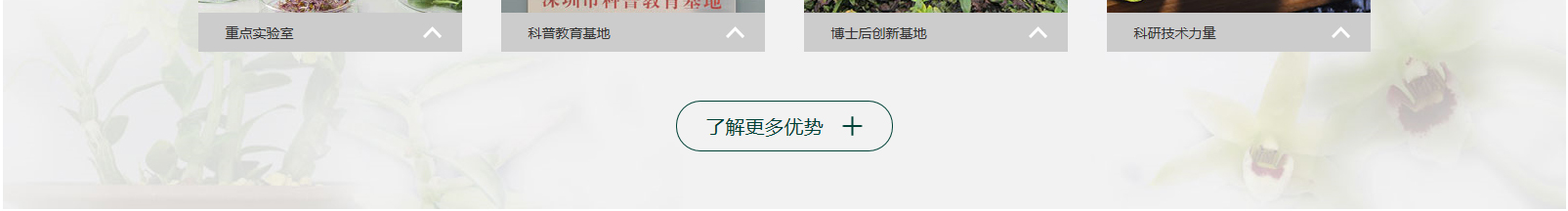 網站建設設計案例_營銷型網站制作案例