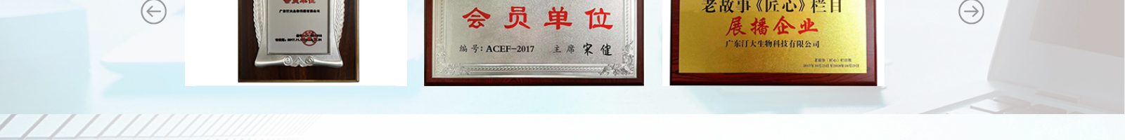 網(wǎng)站建設(shè)設(shè)計(jì)案例_營銷型網(wǎng)站制作案例 網(wǎng)站建設(shè)設(shè)計(jì)案例_營銷型網(wǎng)站制作案例