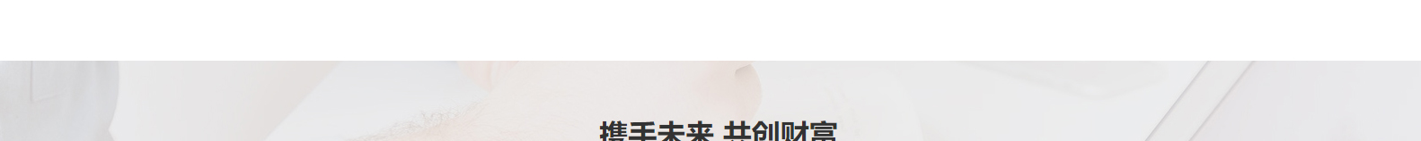 網站建設設計案例_營銷型網站制作案例