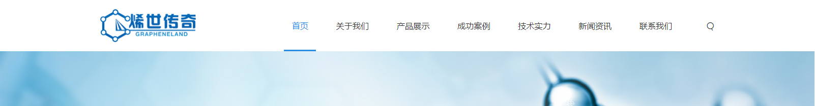 深圳市烯世傳奇科技有限公司_網站建設設計案例