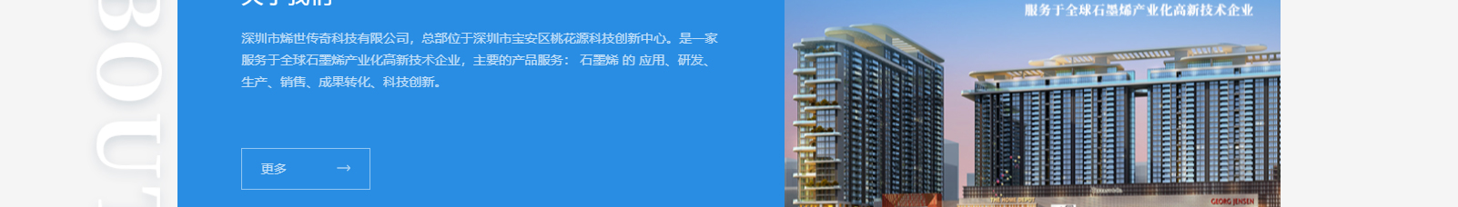 深圳市烯世傳奇科技有限公司_網站建設設計案例