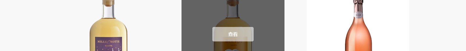 華普羅國際有限公司_網站建設設計案例