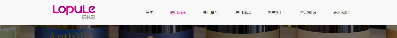 華普羅國際有限公司_網站建設設計案例