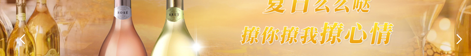 華普羅國際有限公司_網站建設設計案例