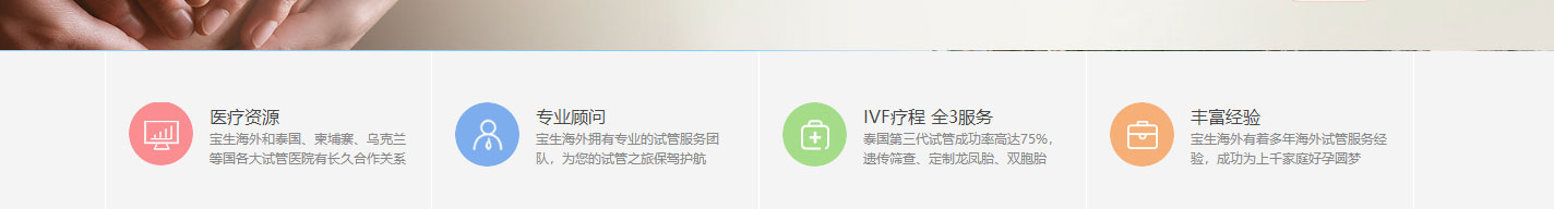 寶生海外網站設計效果圖 洛壹網絡網站案例