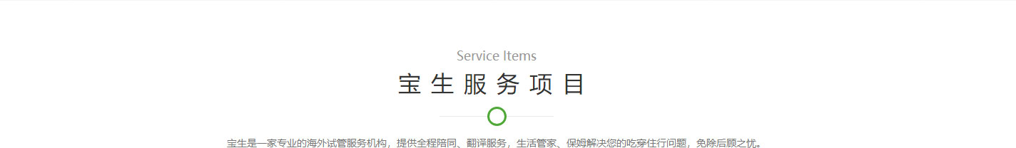 寶生海外網站設計效果圖 洛壹網絡網站案例