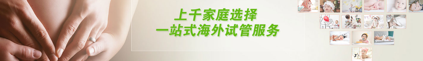 寶生海外網站設計效果圖 洛壹網絡網站案例