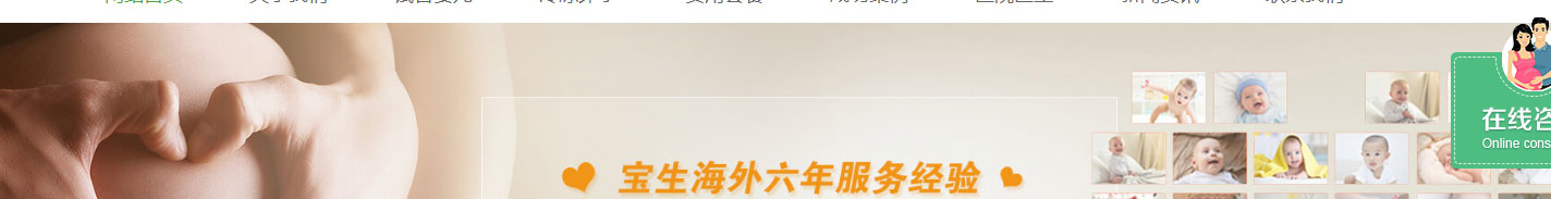 寶生海外網站設計效果圖 洛壹網絡網站案例