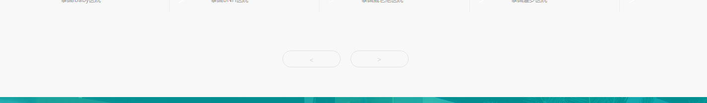 寶生海外網站設計效果圖 洛壹網絡網站案例