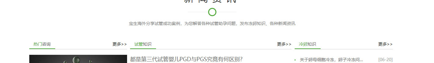 寶生海外網站設計效果圖 洛壹網絡網站案例