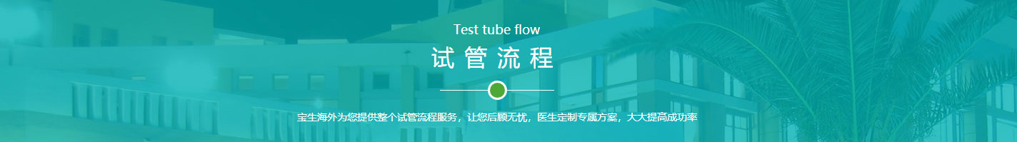 寶生海外網站設計效果圖 洛壹網絡網站案例