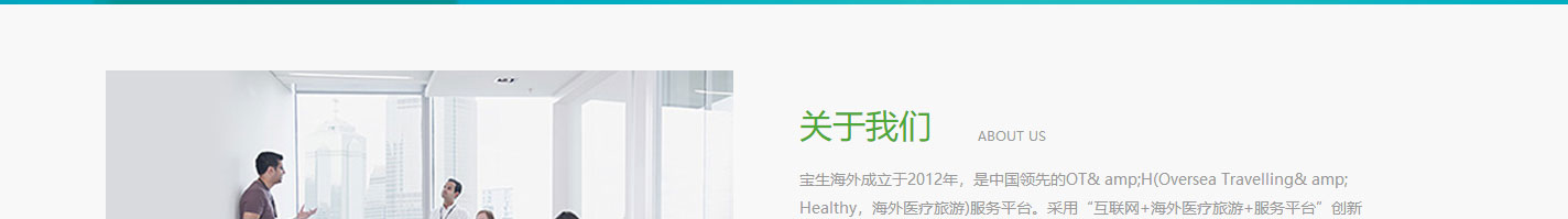 寶生海外網站設計效果圖 洛壹網絡網站案例
