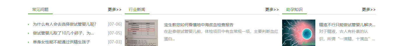 寶生海外網站設計效果圖 洛壹網絡網站案例