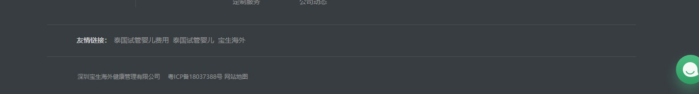寶生海外網站設計效果圖 洛壹網絡網站案例