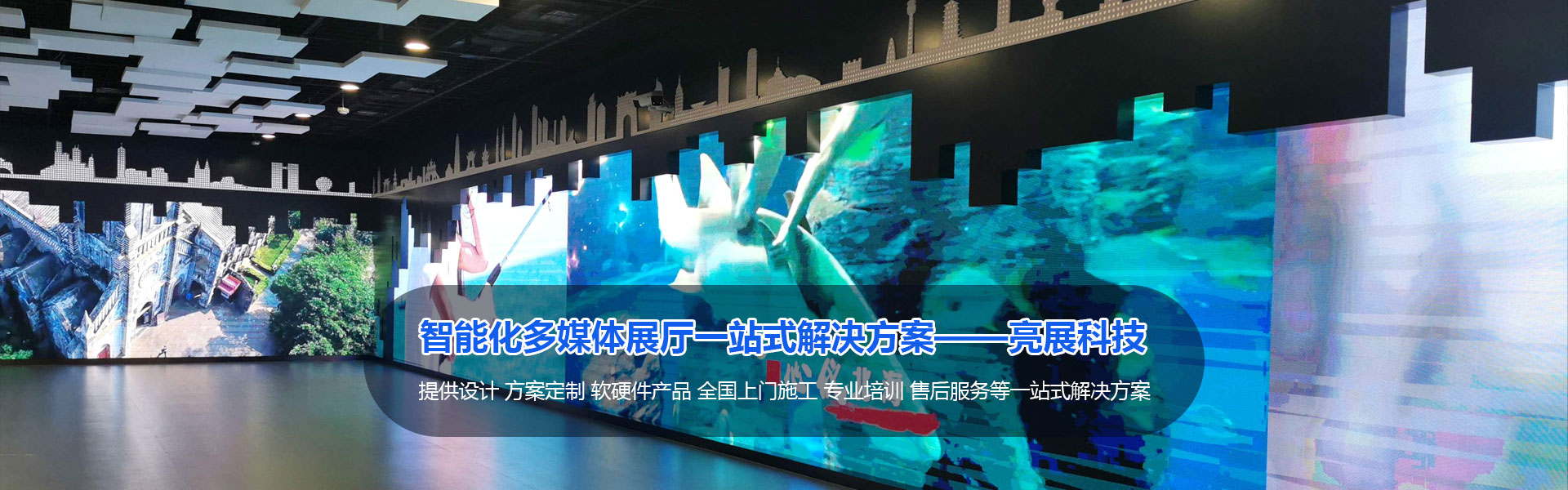 寶安網站制作與開發案例_深圳市亮展科技有限公司