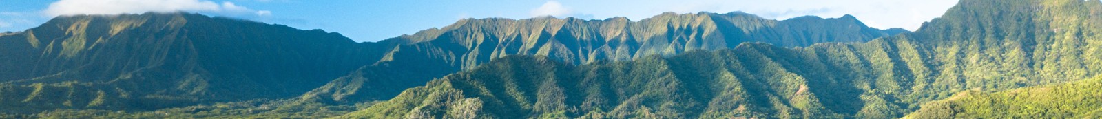 方圓環保科技_智慧環保網站建設_洛壹建站案例