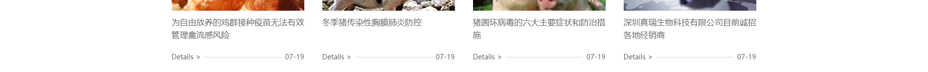 深圳網站設計公司_響應式網站_外貿網站_深圳網站建設